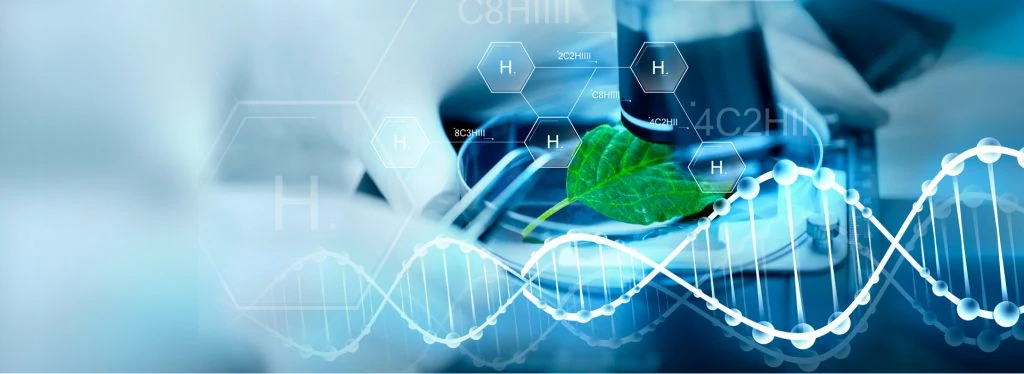 Hy5 is leader as green hydrogen producer company