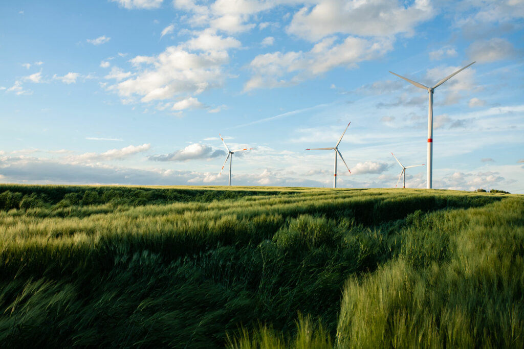 decarbonization with green hydrigen